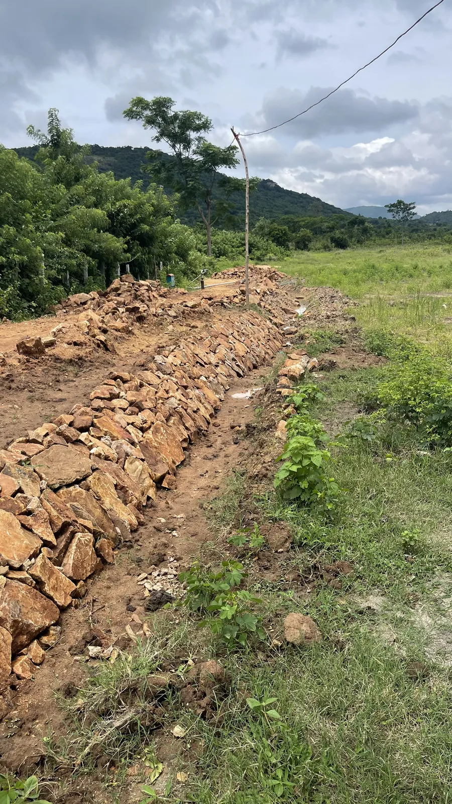 Trenching and Water Harvesting